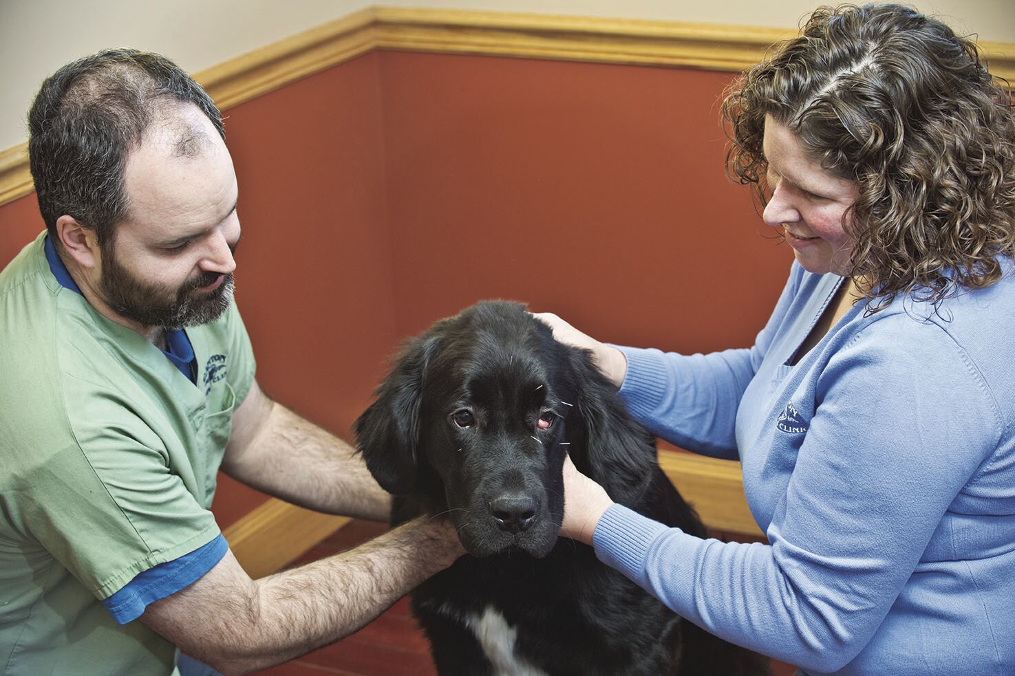 NNYM_wds_Canton Animal Clinic_cl52.jpg-web